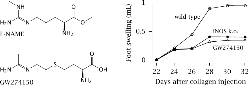 Antiinflammatory effect of iNOS inhibition