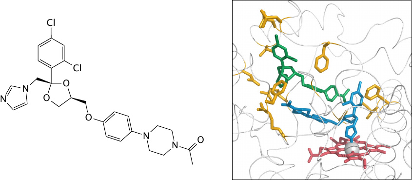 Ketoconazole bound to the active site of cytochrome P450