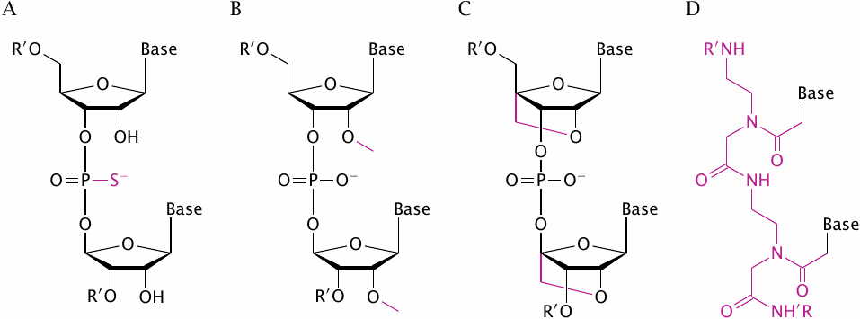 Unusual nucleotide linkages in synthetic oligonucleotides