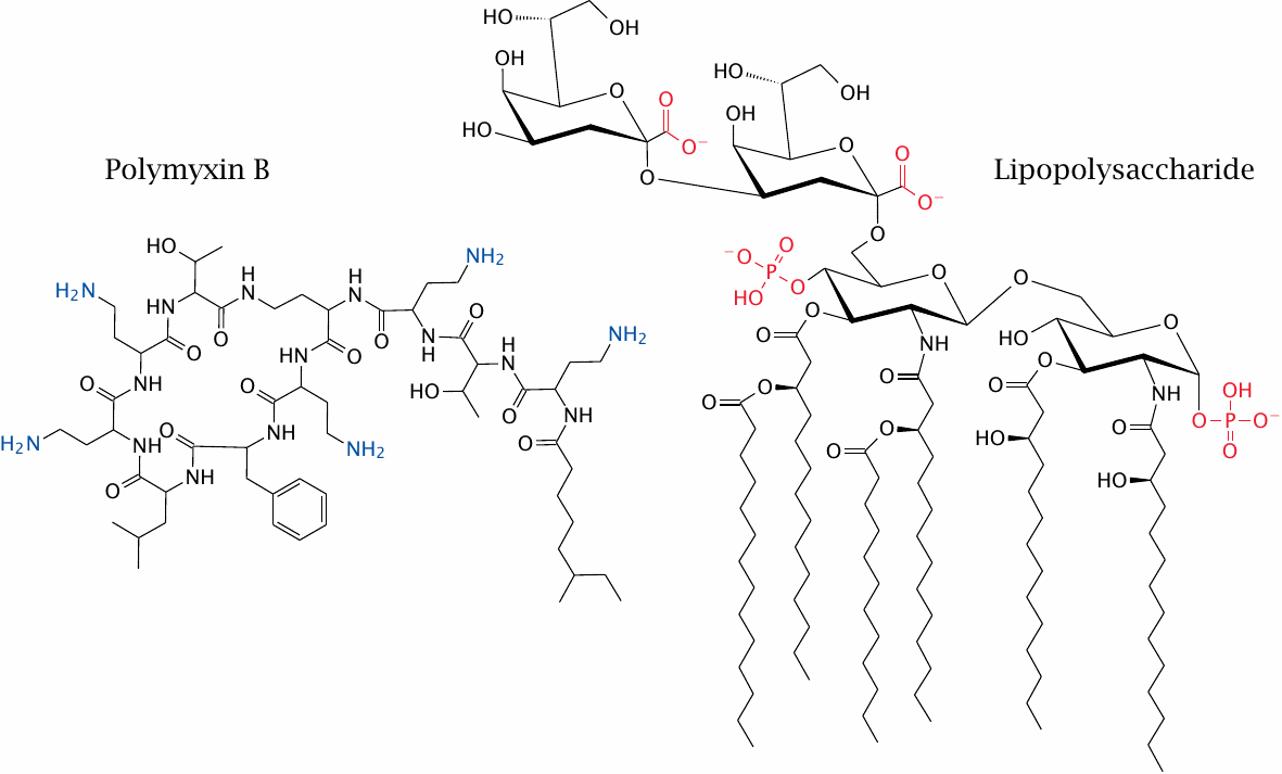 Structures of polymyxin B and lipopolysaccharide