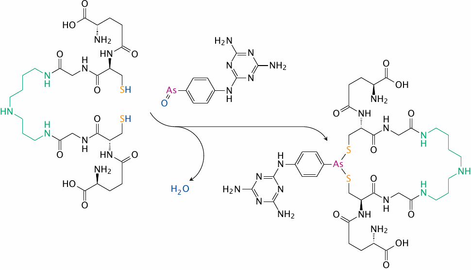 Melarsene oxide binds trypanothione