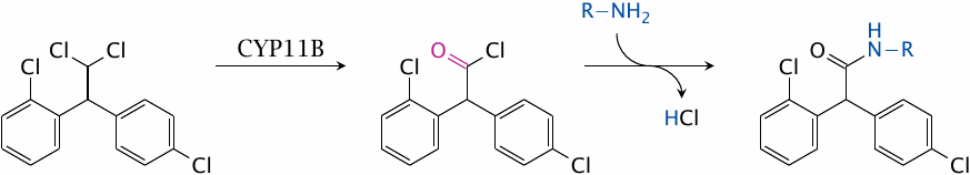 The anticancer prodrug mitotane is selectively activated in the
                    adrenal cortex