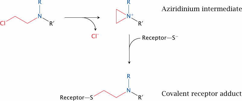 Mechanism of covalent receptor blockade by phenoxybenzamine