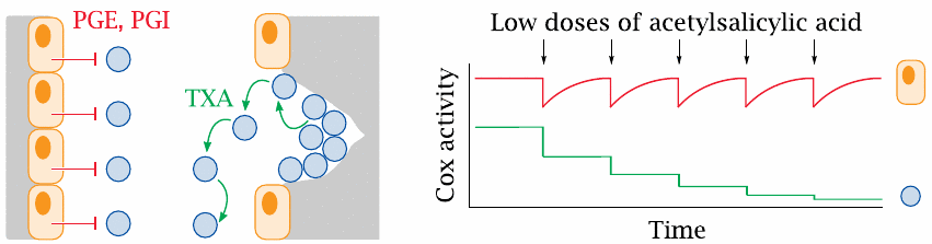 Rationale of low-dose acetylsalicylic acid treatment