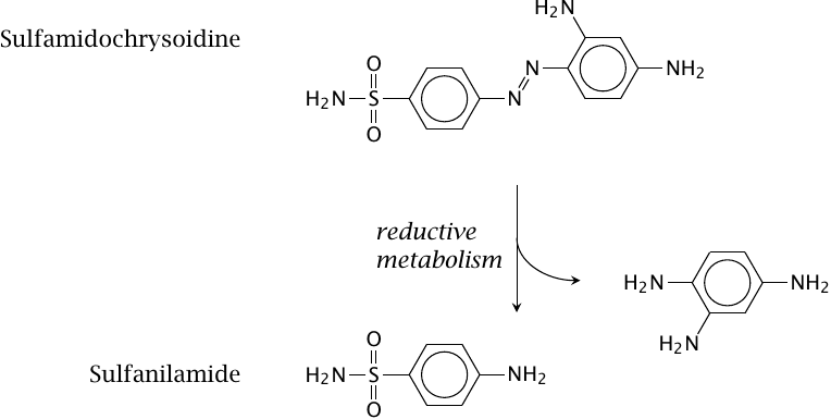 Drug discovery by brute force: sulfamidochrysoidine