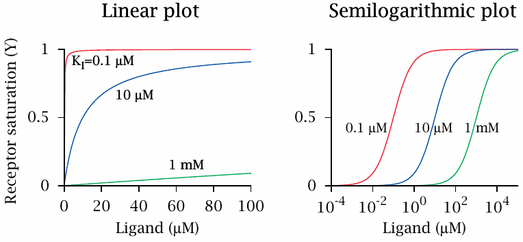 Linear and semi-logarithmic plots of receptor occupancy