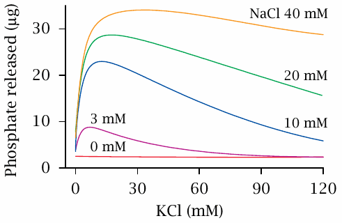 Na+/K+-ATPase activity as a function of KCl and NaCl concentrations