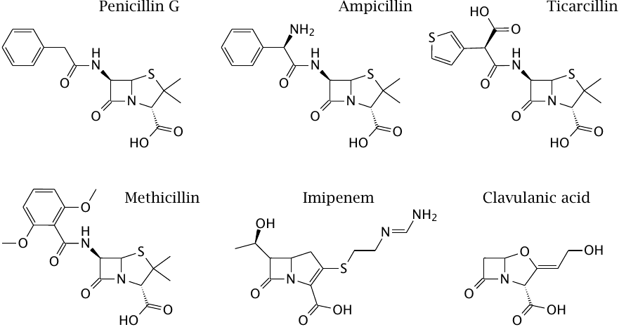 Structures of β-lactam antibiotics (1)