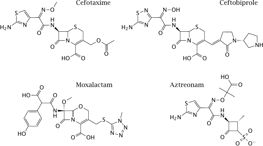 Structures of β-lactam antibiotics (2)