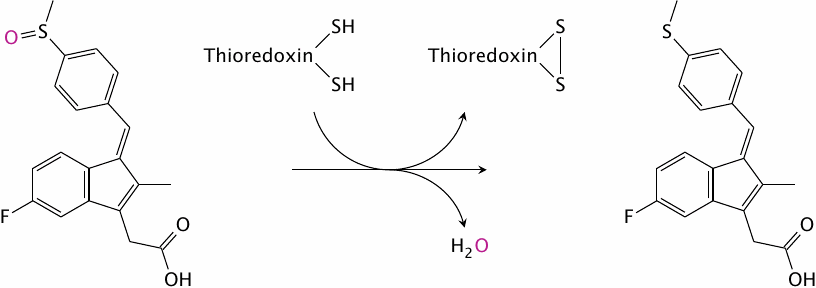Reductive activation of sulindac by thioredoxin