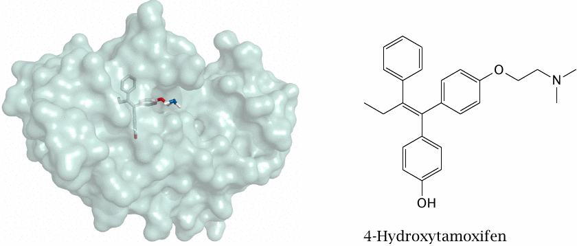 Sexual hormones and receptor antagonists