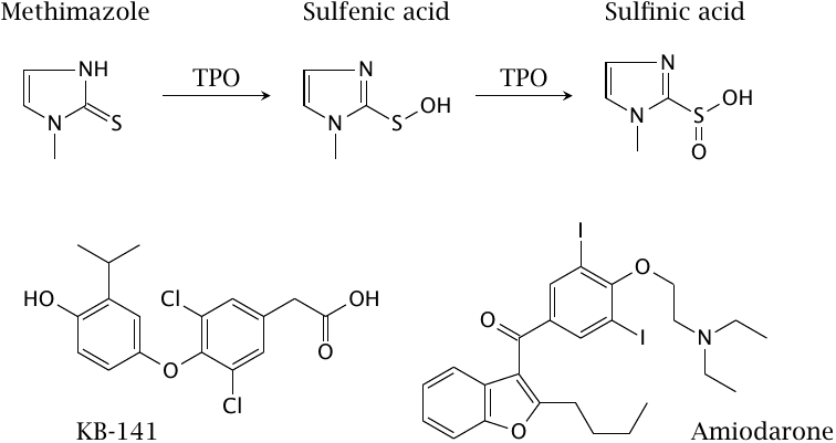 Drugs that influence thyroid hormone function