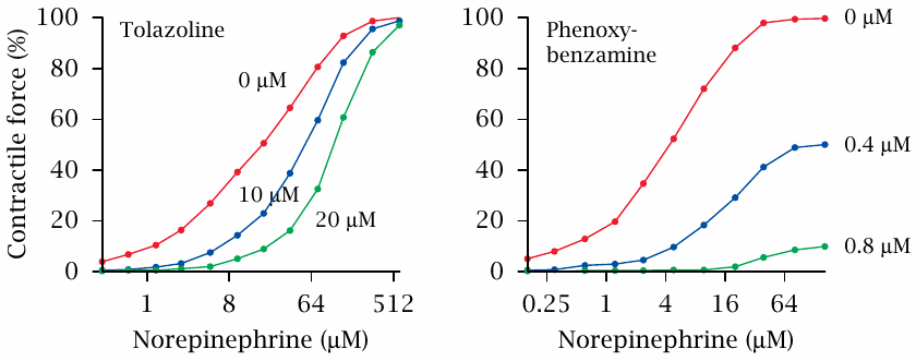 Inhibition of spleen strip contraction by tolazoline and
                    phenoxybenzamine