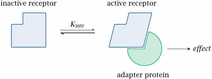 The two-state model of receptor activation