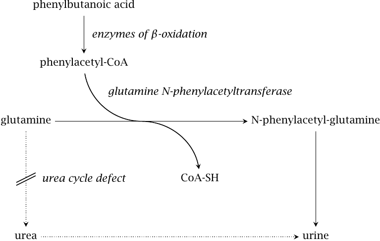 Alternate pathway therapy in urea cycle enzyme defects