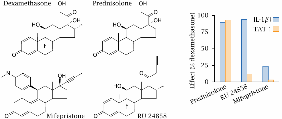 Glucocorticoid receptor agonists and antagonists