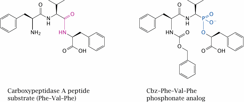 A non-covalent yet irreversible enzyme inhibitor