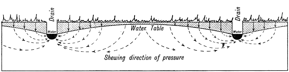 The composition of soil; water in the soil