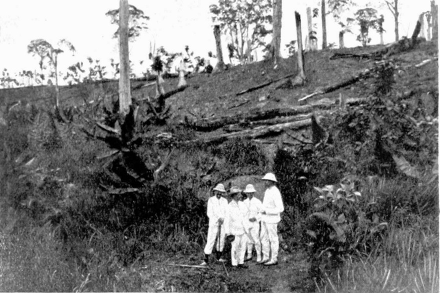 Photograph showing four unidentified men standing in a ravine on Bandar
                Talu estate, Sumatra