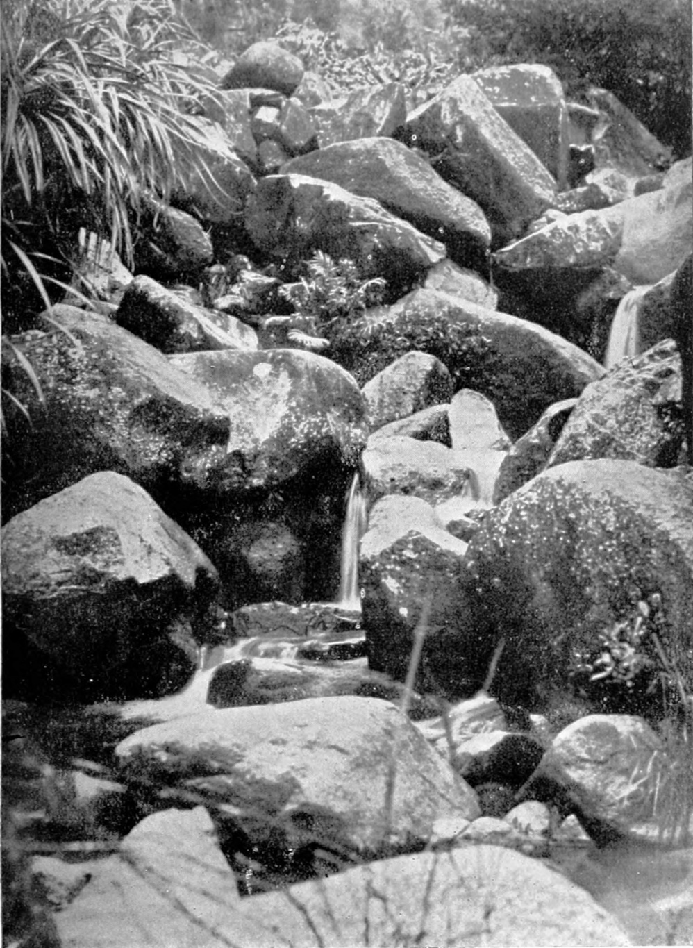 Photograph of a little brook running down a rocky hillside
